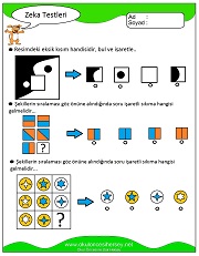 Zeka Gelişim Testleri
